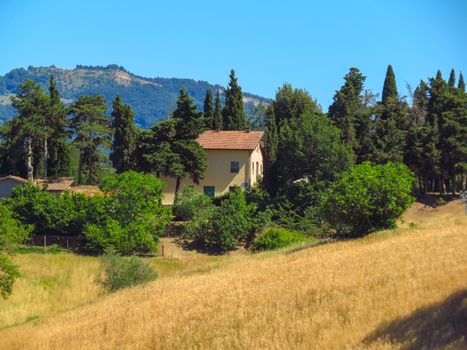 Rural Scene - A lonely house in the fields of Romagna, Italy