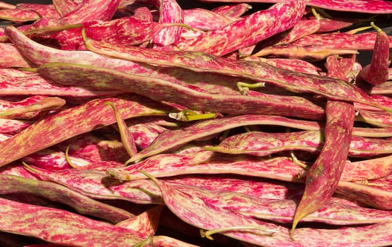 Borlotti Beans