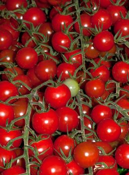 A collection of chrry tomatoes on the vine