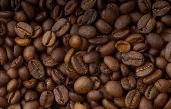 Roasted Coffee Beans