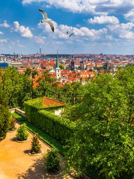Prague red roofs and dozen spires of historical Old Town of Prague. Birds flying over red rooftops, spires and the Charles Bridge and Vltava River in the background. Prague, Czechia.