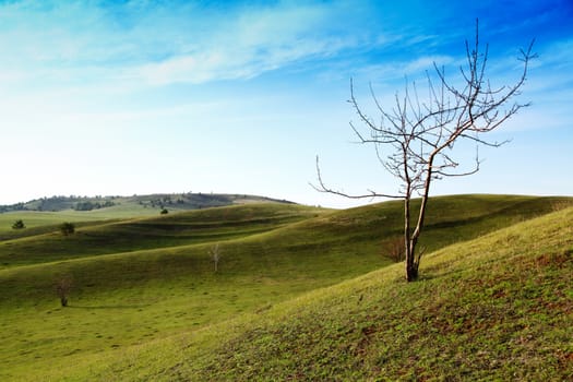 Beautiful summer landscape with green hills and blue sky.