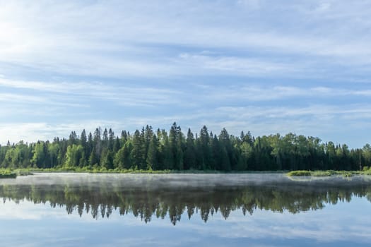 Idyllic landscape. The sky and the forest are reflected in the river.