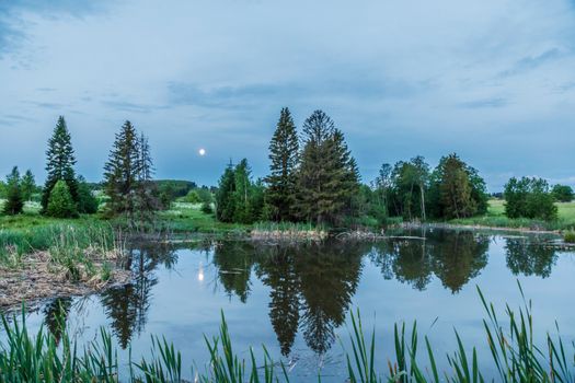 Early morning before sunrise. Summer landscape trees near a small lake