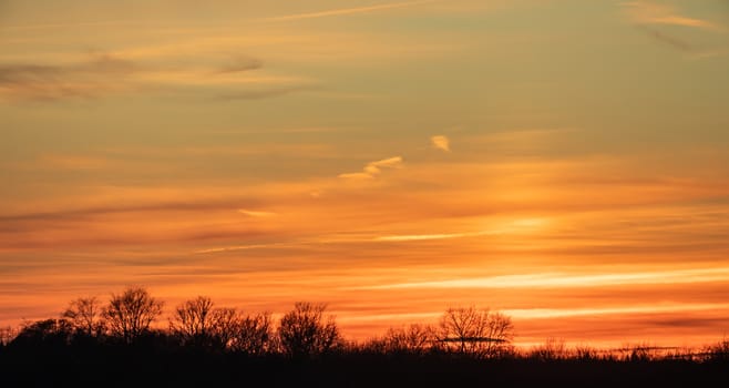 Bright orange sunset over the forest. Summer landscape.