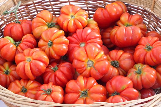 Organic tomatoes in wicker basket