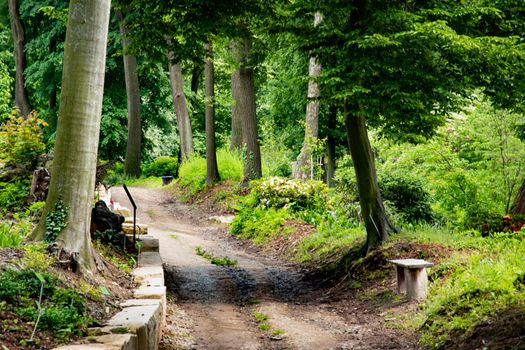 Path in the old green park. Beautiful peaceful Landscape. Preety scenic view of amazing Polish nature. Beautiful green summer forest. Park scenery with a mystery alley 
