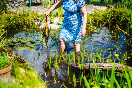 white middle aged woman cleans pond from overgrown plants UK