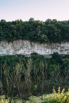 Swamp with trees below the canyon against the backdrop of a large rock