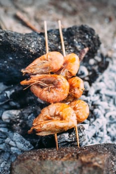 King prawns grilled on charcoal. Food outdoors. Cooking at the stake. Picnic