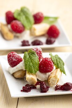 raspberry tiramisu on a plate