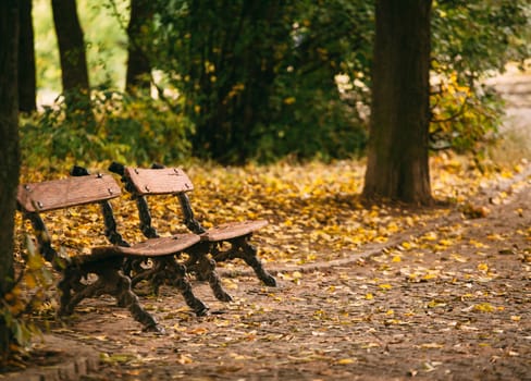 Two benches in an autumn park by the river. Golden autumn