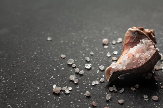 Pink Himalayan rock salt in a shell on a black table