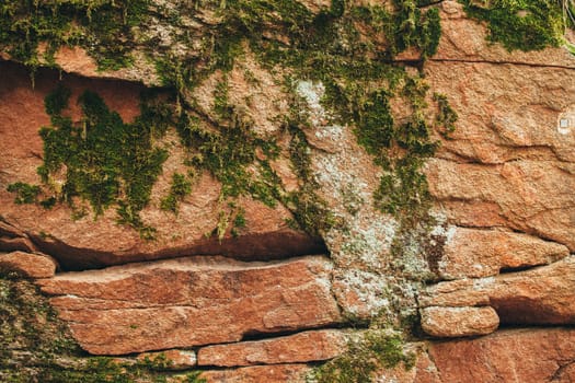 Moss brown stone texture. Moss stone texture. Close up photo