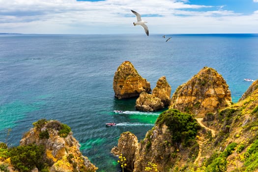 Panoramic view, Ponta da Piedade with seagulls flying over rocks near Lagos in Algarve, Portugal. Cliff rocks, seagulls and tourist boat on sea at Ponta da Piedade, Algarve region, Portugal. 