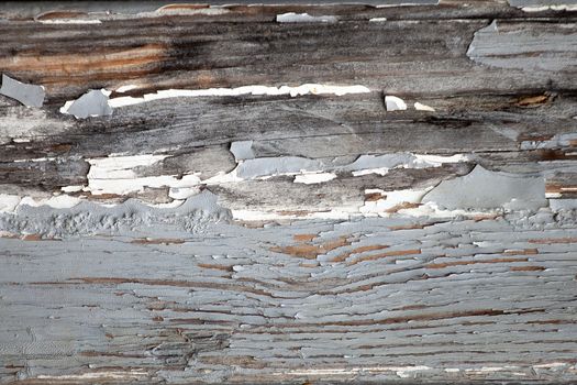 Old peeling paint on a wooden board