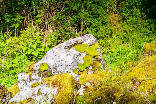 view of glacial limestone rock covered with lush green moss and old forest trees on a sunny summer day UK