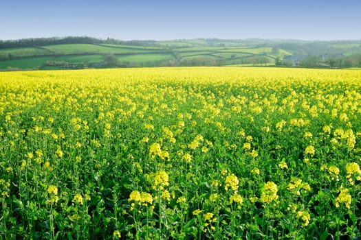 Both Panoramic and some more detailed images of beautiful country scenes.