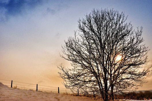 Both Panoramic and some more detailed images of beautiful country scenes.