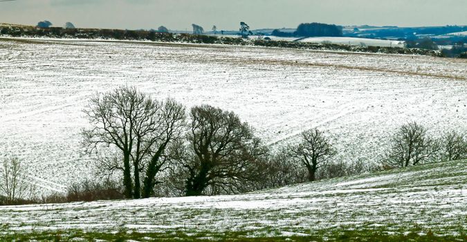 Both Panoramic and some more detailed images of beautiful country scenes.