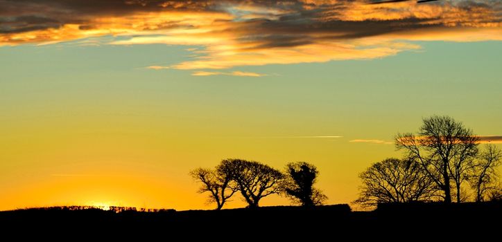 Both Panoramic and some more detailed images of beautiful country scenes.