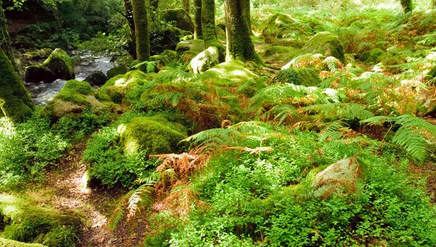 Both Panoramic and some more detailed images of beautiful country scenes.