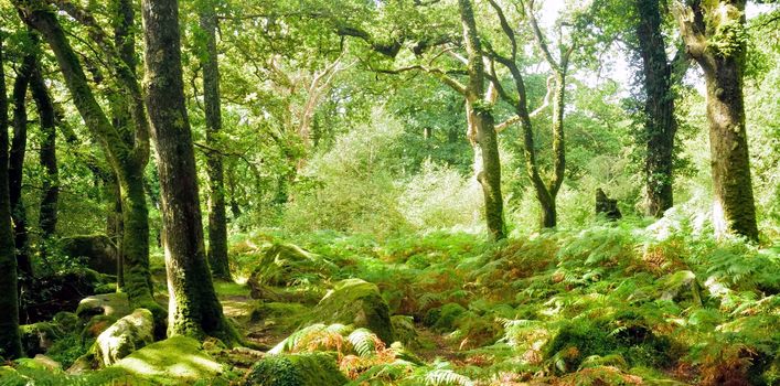 Both Panoramic and some more detailed images of beautiful country scenes.