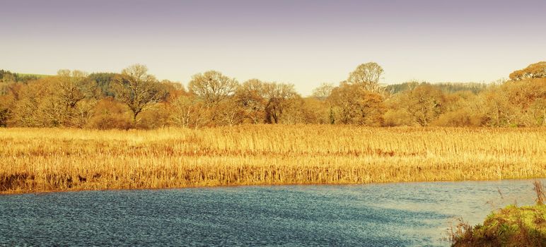 Both Panoramic and some more detailed images of beautiful country scenes.