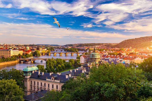 Old Town pier architecture and Charles Bridge over Vltava river in Prague with seagulls, Czech Republic. Prague iconic Charles Bridge (Karluv Most) and Old Town Bridge Tower at sunset, Czechia.