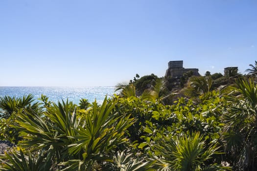 Jungle view in Tulum Mexico, Mayan ruins on top of the cliff.