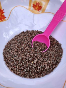 Top view of mustard seeds in a bowl kept for drying before cooking