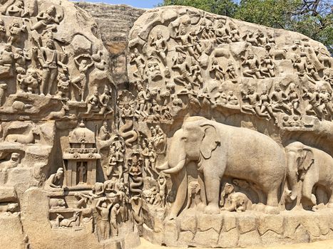 A giant open air rock cut bas relief sculptures carved on two monolithic rocks in Mahabalipuram, Tamil nadu. It contains sculptures of animals, God, People and half-humans.