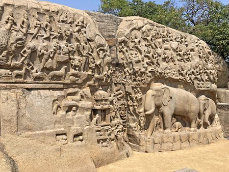 A giant open air rock cut bas relief sculptures carved on two monolithic rocks in Mahabalipuram, Tamil nadu. It contains sculptures of animals, God, People and half-humans.
