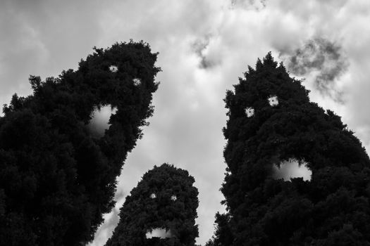 As in a nightmare, three trees are transformed into evil monsters.