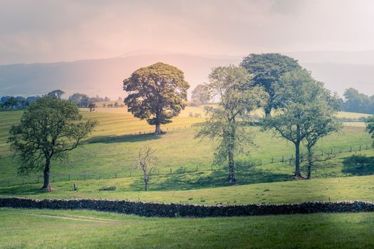 A Scenic Countryside View of a Spacious Open Grassland Field and a Blue Sky Above UK