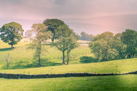 A Scenic Countryside View of a Spacious Open Grassland Field and a Blue Sky Above UK