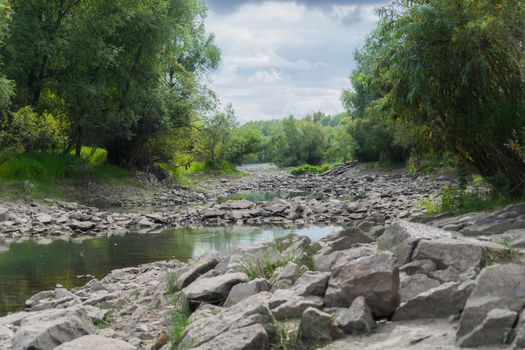 Landscape by the river against the backdrop of the forest on a summer day.