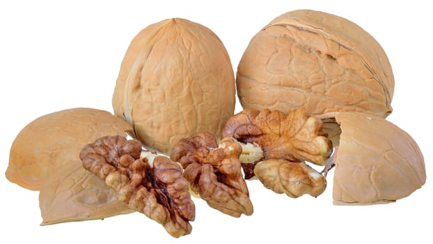 Walnut crack close up isolated on a white background.