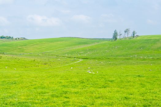 A Scenic Countryside View of a Spacious Open Grassland Field and a Blue Sky Above UK