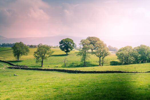 A Scenic Countryside View of a Spacious Open Grassland Field and a Blue Sky Above UK