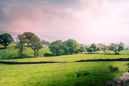 A Scenic Countryside View of a Spacious Open Grassland Field and a Blue Sky Above UK