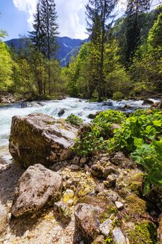 Mountain wild river landscape. River valley in mountains. Wild mountain river panorama. Small waterfall in forest stream. Long exposure. Fast water stream in mountain river with coniferous forest