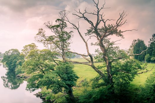 Sunlight colors the river Lune taken from bridge near Kirkby Lonsdale