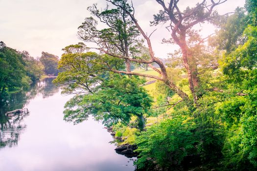 Sunlight colors the river Lune taken from bridge near Kirkby Lonsdale