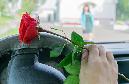 the driver's hand in the car behind the wheel holding a red rose flower on the background of the street and walking to the car of a beautiful girl