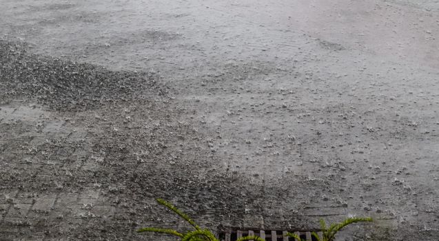 Heavy rain drops falling on city street during downpour. Wet ashpalt road texture.