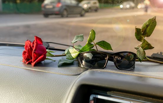 sunglasses and a red rose flower lie on the dashboard of the car