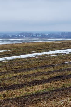 field with melting snow and last year's grass at the end of winter