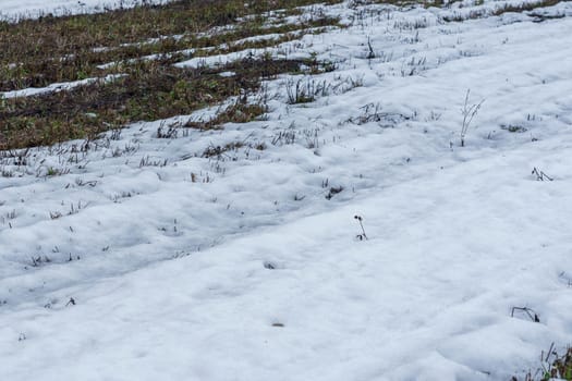 field with melting snow and last year's grass at the end of winter