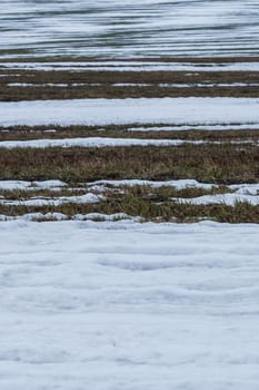 field with melting snow and last year's grass at the end of winter